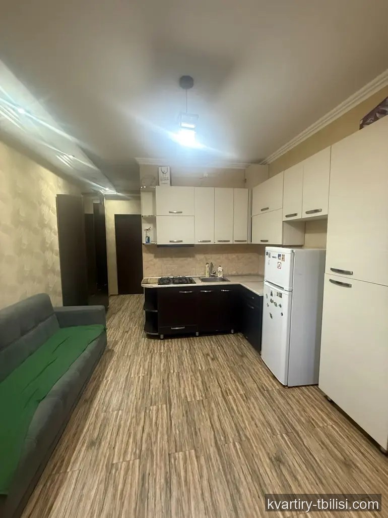 Двухкомнатная квартира в Диди Дигоми — 450 USD/мес | Tbilisi Homes