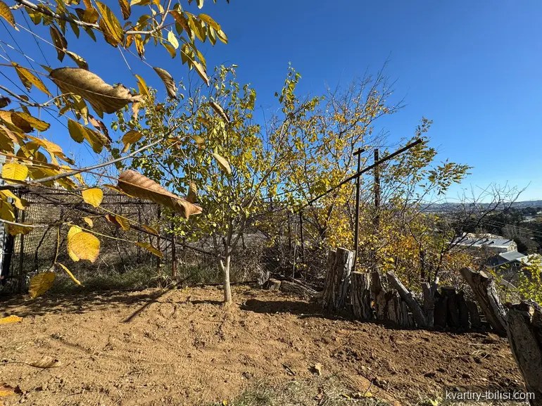 4-комнатный дом в Тбилиси — 700 USD/мес | Tbilisi Homes