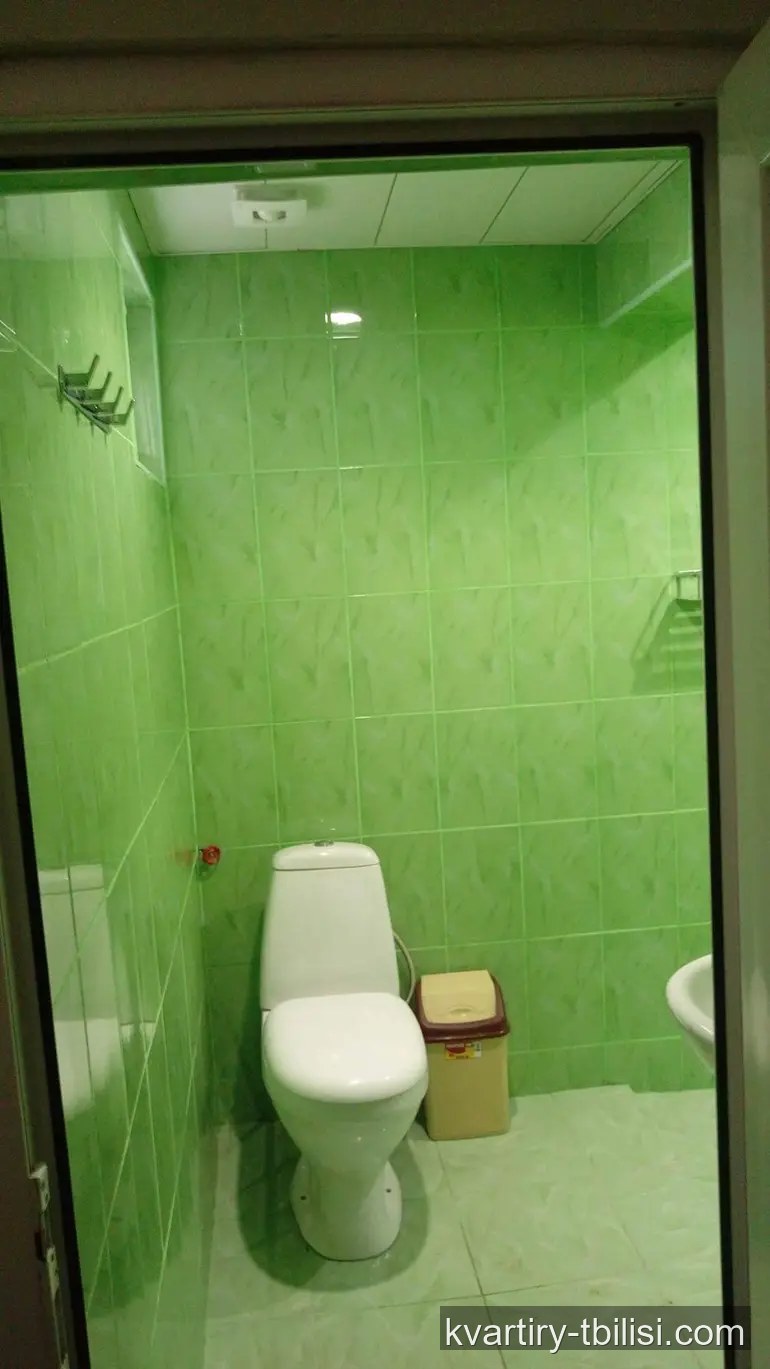 2-комнатный дом в Авлабари — 450 USD/мес | Tbilisi Homes