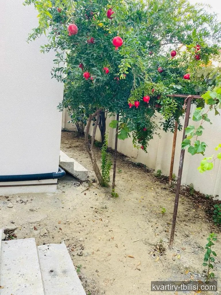 2-bedroom House for rent in Didi Digomi, Tbilisi, 60 sqm — 500 USD/month | Tbilisi Homes