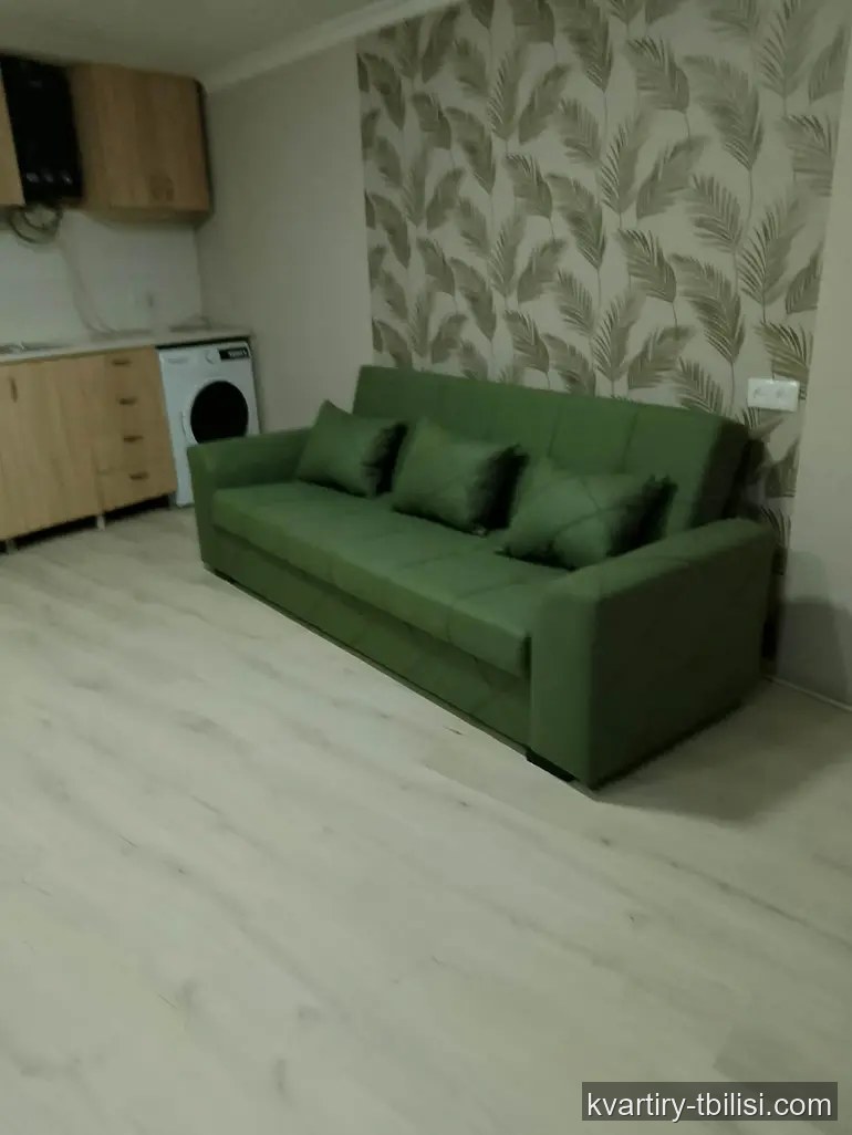 3-комнатный дом в Диди Дигоми — 495 USD/мес | Tbilisi Homes