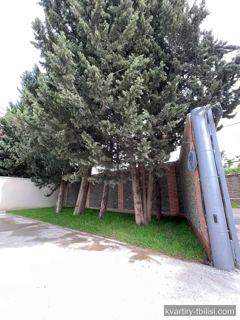 11-bedroom House for rent in Digomi 1-9, Tbilisi, 824 sqm — 5 000 USD/month | Tbilisi Homes