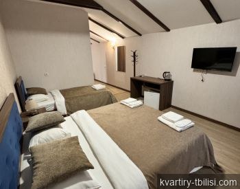 11-комнатный дом в Исани — 4 000 USD/мес | Tbilisi Homes