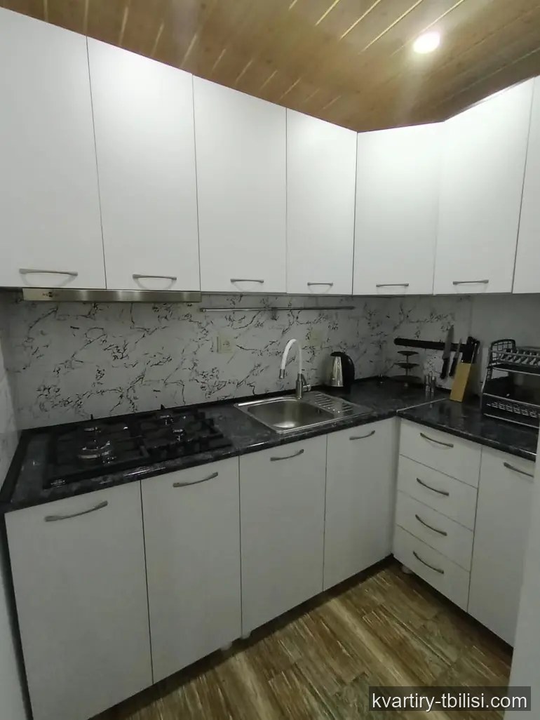 ქირავდება 5 ოთახიანი სახლი ისანში, 235 მ² — 1 500 USD/თვეში | Tbilisi Homes
