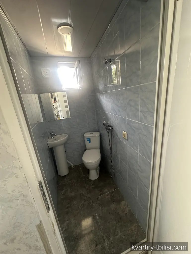 3-комнатный дом в Надзаладеви — 460 USD/мес | Tbilisi Homes