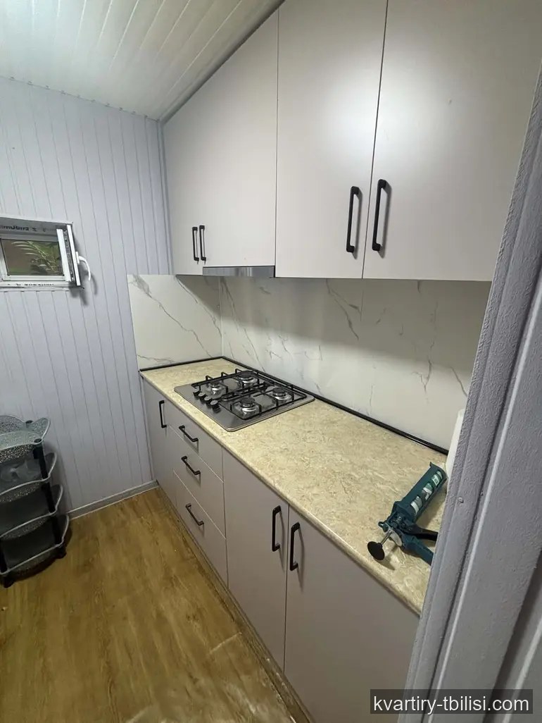 3-комнатный дом в Навтлуги — 600 USD/мес | Tbilisi Homes