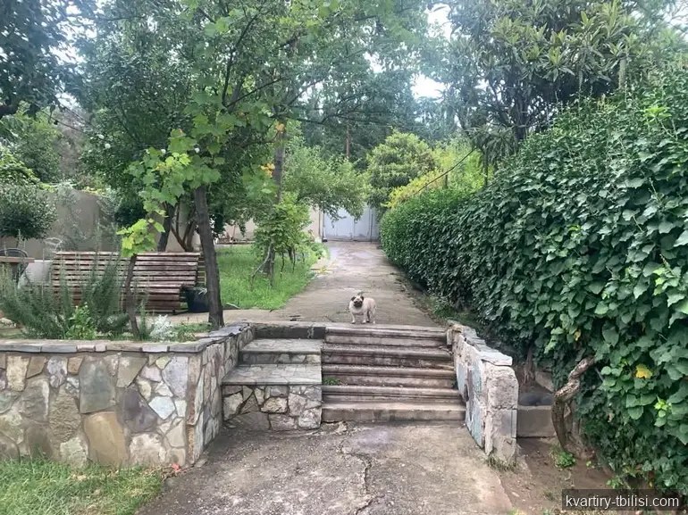 3-bedroom House for rent in Tbilisi, Tbilisi, 300 sqm — 1 000 USD/month | Tbilisi Homes