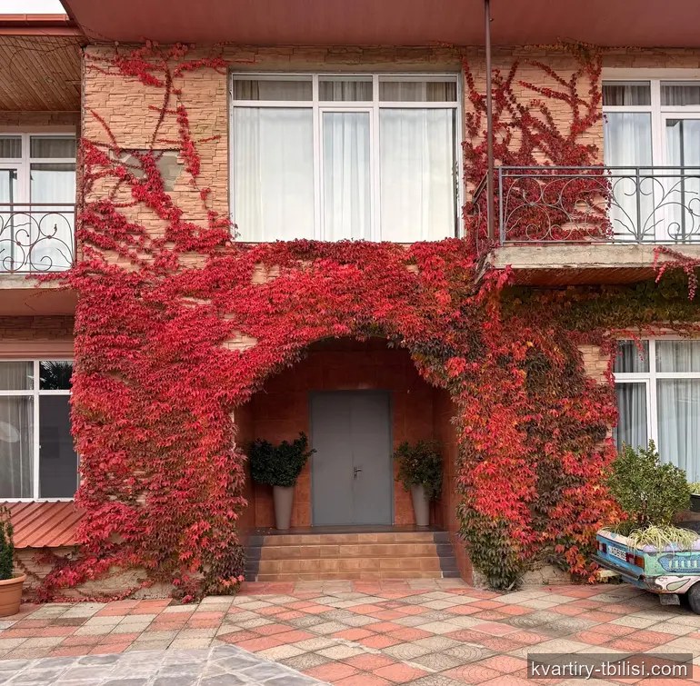 10-комнатный дом в Цавкиси — 4 000 USD/мес | Tbilisi Homes
