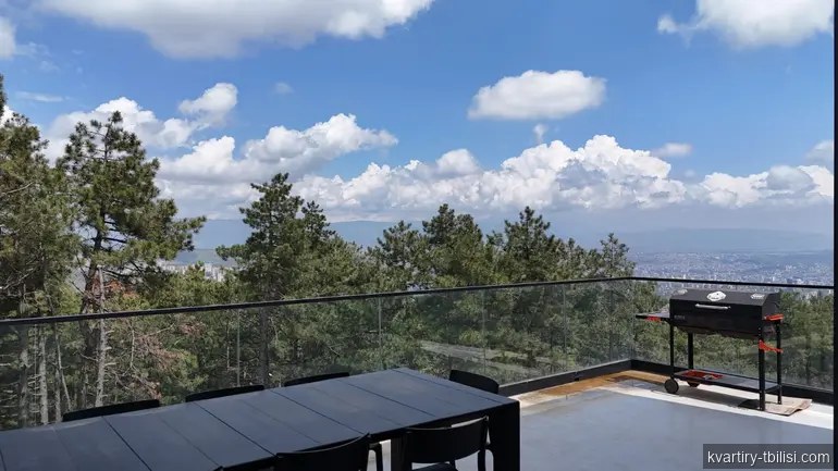 ქირავდება 8 ოთახიანი სახლი წყნეთში, 400 მ² — 6 000 USD/თვეში | Tbilisi Homes
