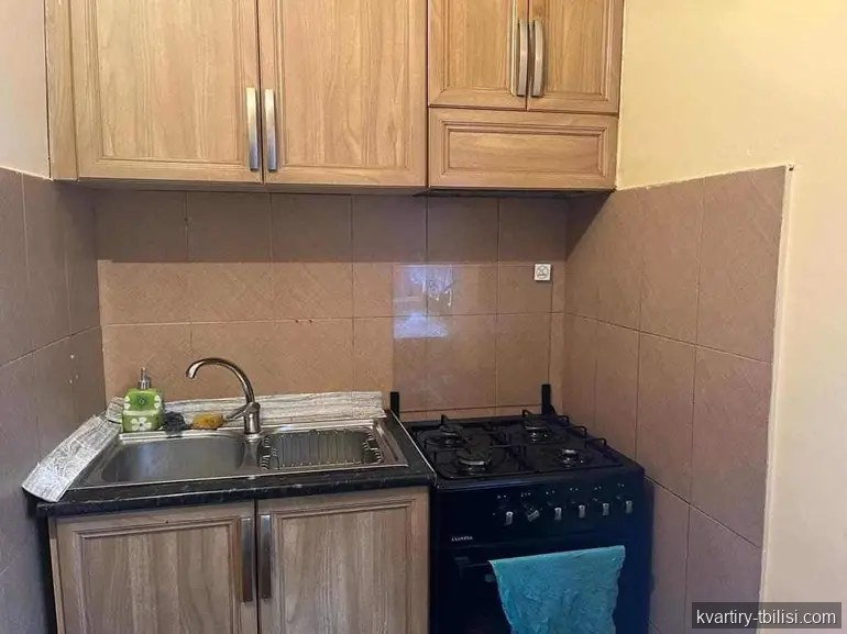 3-комнатный дом в Вашлиджвари — 457 USD/мес | Tbilisi Homes