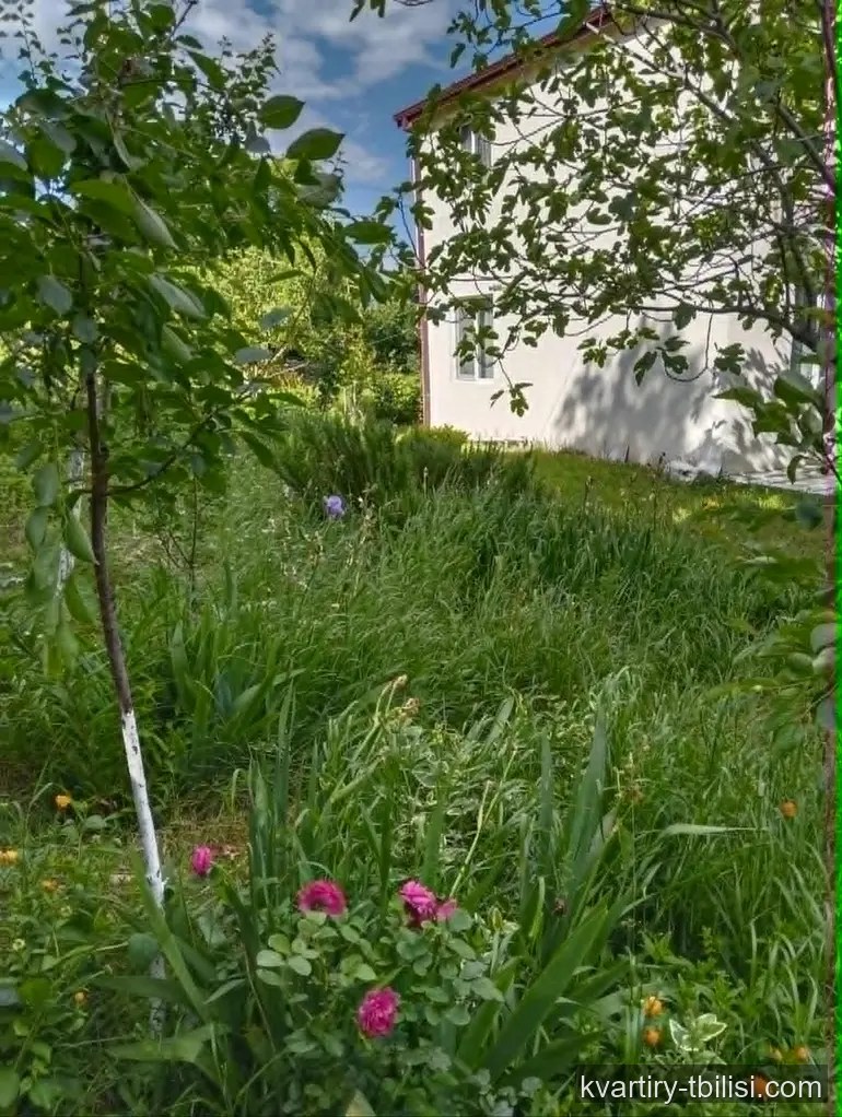 5-комнатный дом в Тбилиси — 148 000 USD | Tbilisi Homes