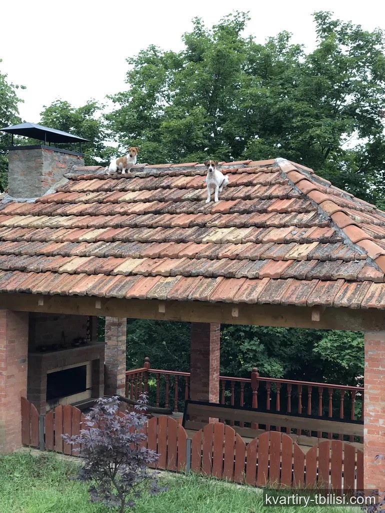 10-комнатный дом в Бетании — 450 000 USD | Tbilisi Homes