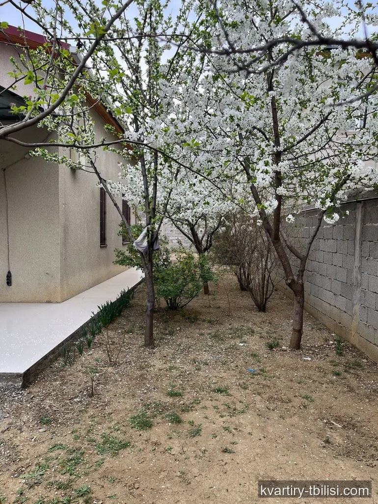 5-bedroom House for sale in Didi Digomi, Tbilisi, 60 sqm — 190 000 USD | Tbilisi Homes