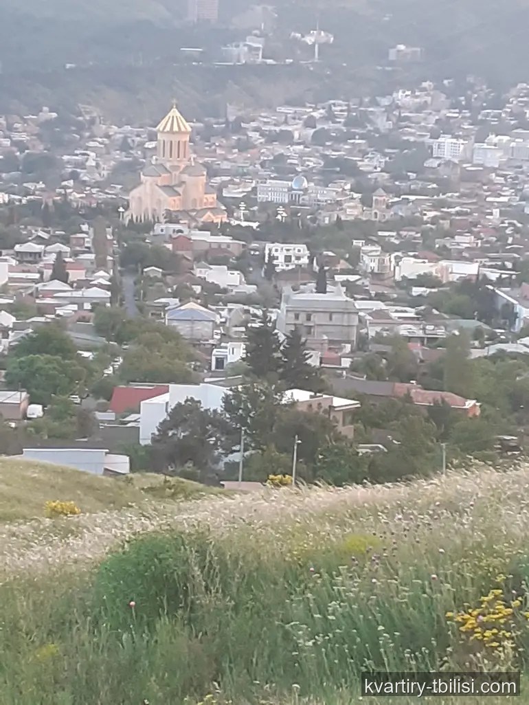 10-bedroom House for sale in Elia, Tbilisi, 437 sqm — 310 000 USD | Tbilisi Homes
