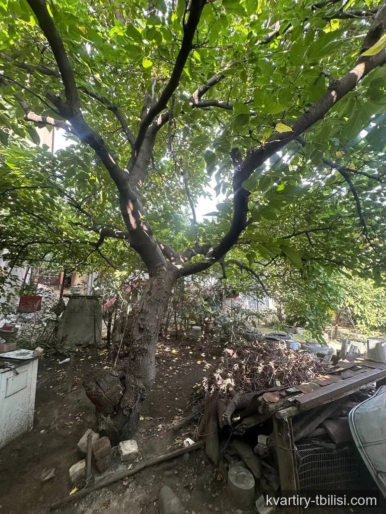 იყიდება 11 ოთახიანი სახლი ელიაზე, 455 მ² — 250 000 USD | Tbilisi Homes