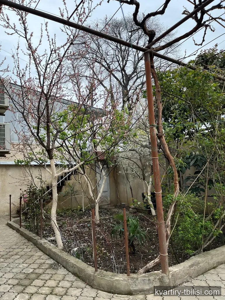 იყიდება 5 ოთახიანი სახლი ისანში, 367 მ² — 435 000 USD | Tbilisi Homes