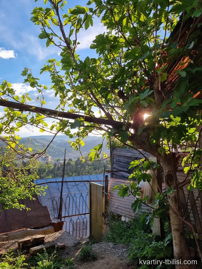 8-комнатный дом в Исани — 95 000 USD | Tbilisi Homes