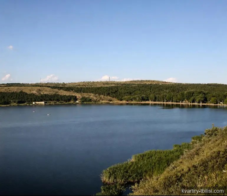 იყიდება 5 ოთახიანი სახლი ლისზე, 473 მ² — 1 135 200 USD | Tbilisi Homes
