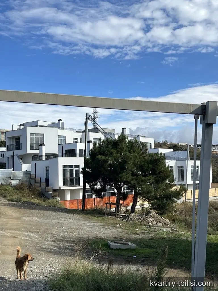 5-bedroom House for sale in Lisi, Tbilisi, 320 sqm — 290 000 USD | Tbilisi Homes