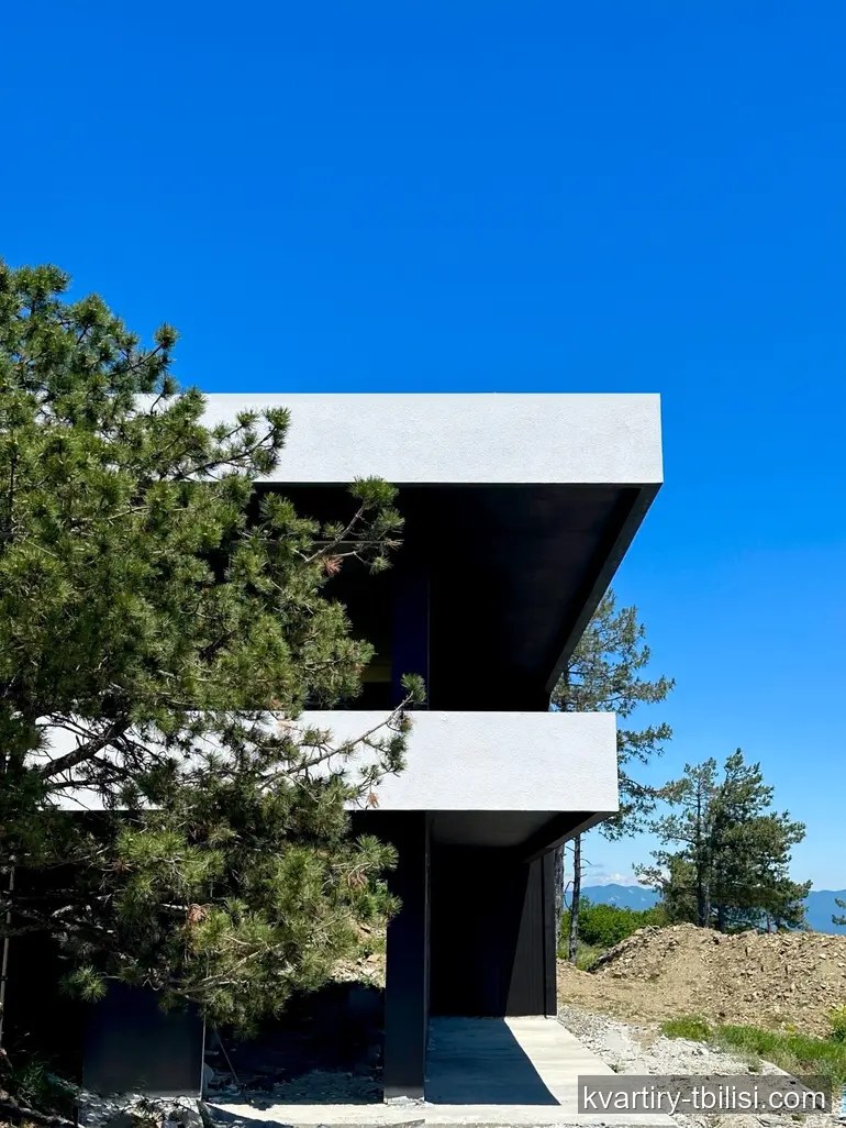 იყიდება 7 ოთახიანი სახლი ლისზე, 400 მ² — 245 000 USD | Tbilisi Homes