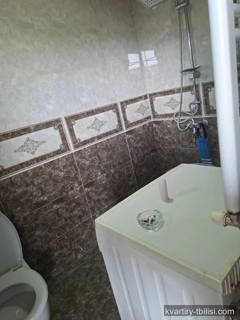 5-комнатный дом на Московском проспекте — 65 000 USD | Tbilisi Homes