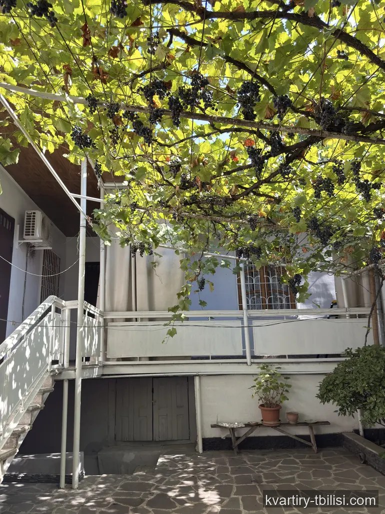 5-bedroom House for sale in Navtlugi, Tbilisi, 291 sqm — 260 000 USD | Tbilisi Homes