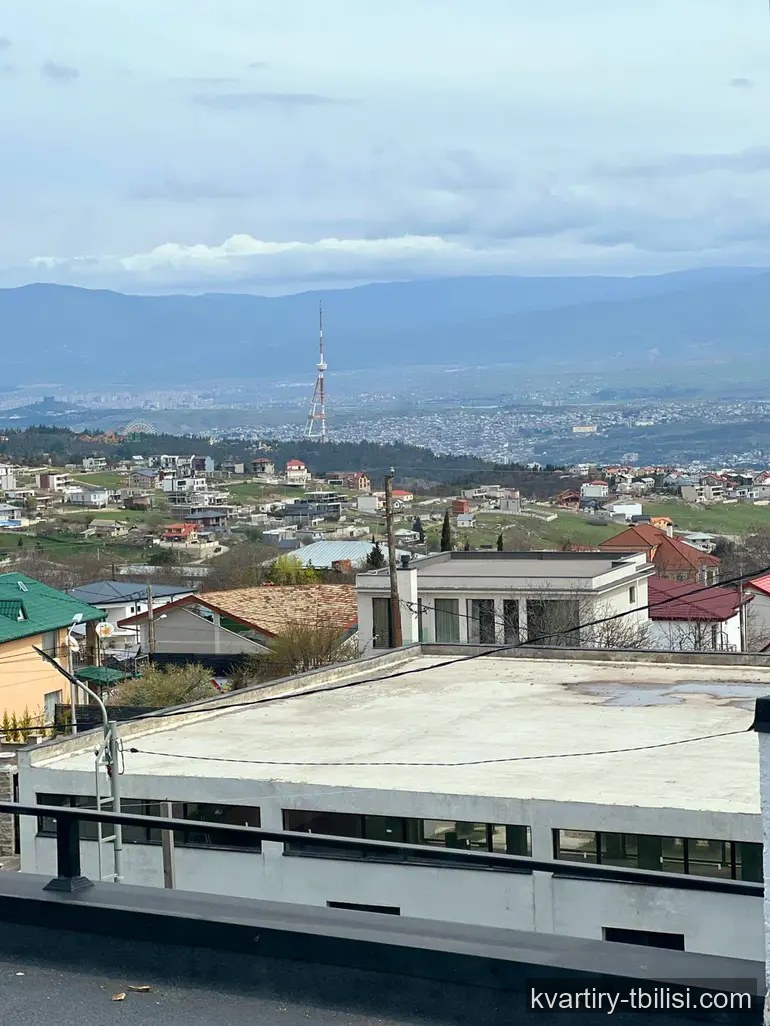 9-bedroom House for sale in Shindisi, Tbilisi, 300 sqm — 200 000 USD | Tbilisi Homes