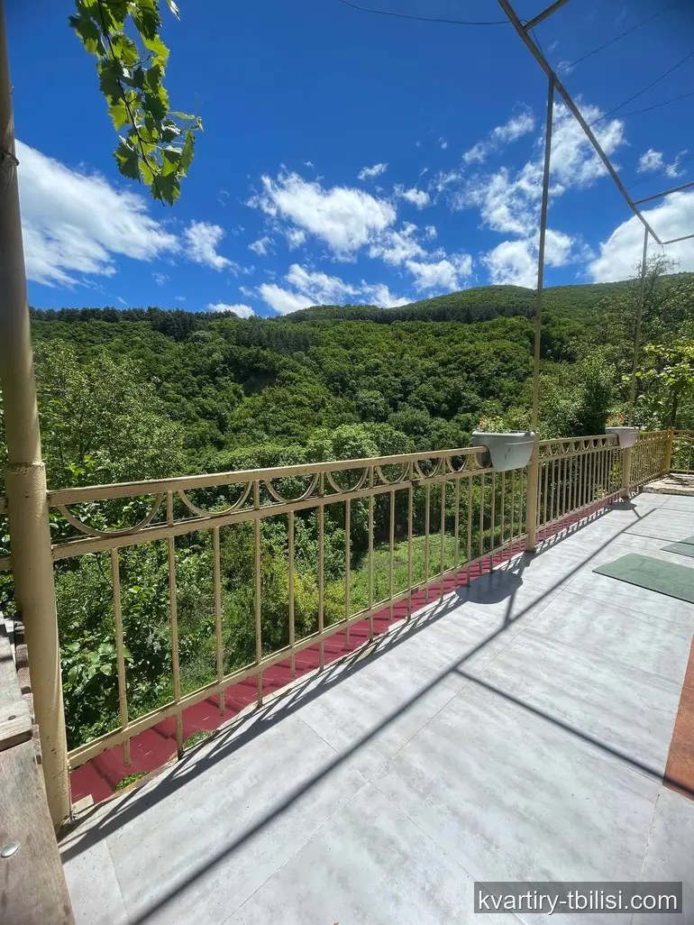 11-bedroom House for sale in Tskneti, Tbilisi, 300 sqm — 350 000 USD | Tbilisi Homes