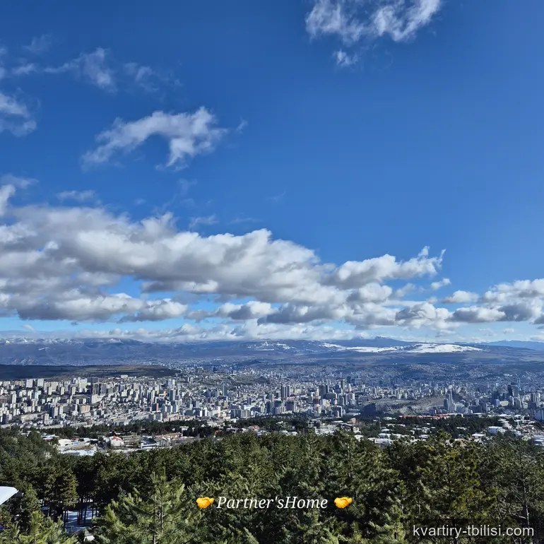 11-комнатный дом в Цкнети — 500 000 USD | Tbilisi Homes