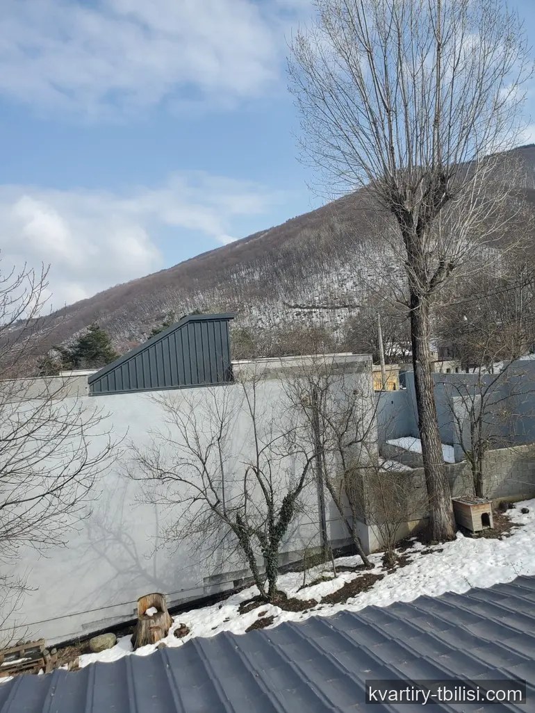 5-bedroom House for sale in Tskneti, Tbilisi, 891 sqm — 980 000 USD | Tbilisi Homes