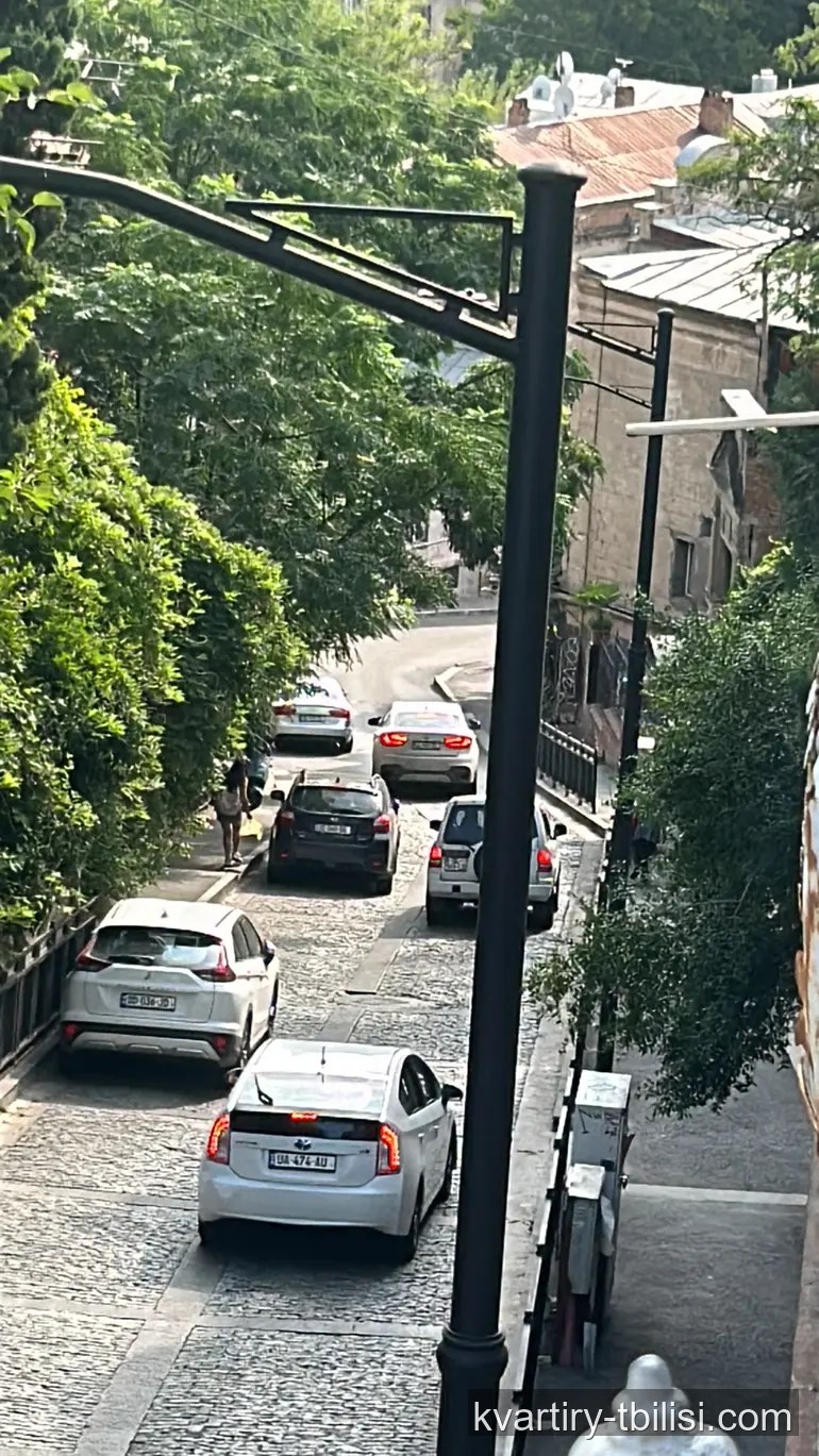 11-комнатный дом в Ваке — 1 500 000 USD | Tbilisi Homes