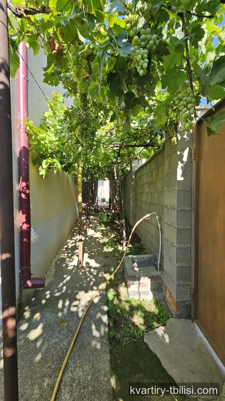 9-комнатный дом в Варкетили — 220 000 USD | Tbilisi Homes