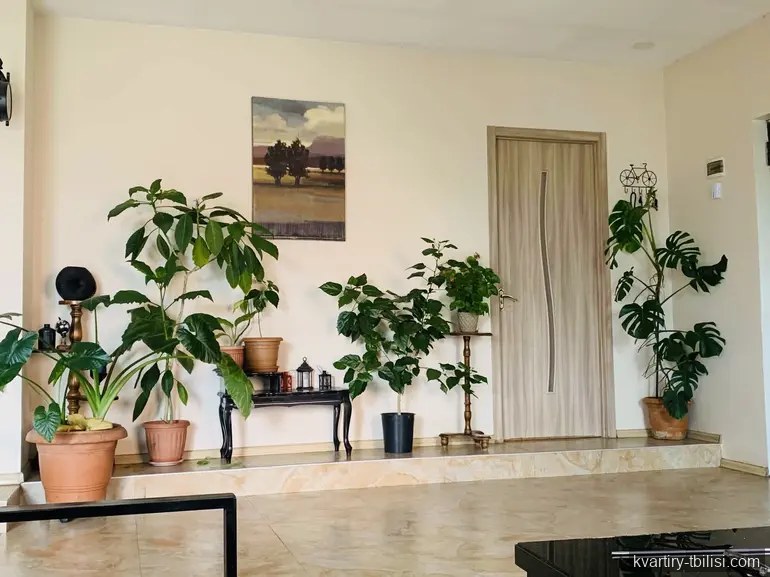 7-комнатный дом в Вашлиджвари — 290 000 USD | Tbilisi Homes