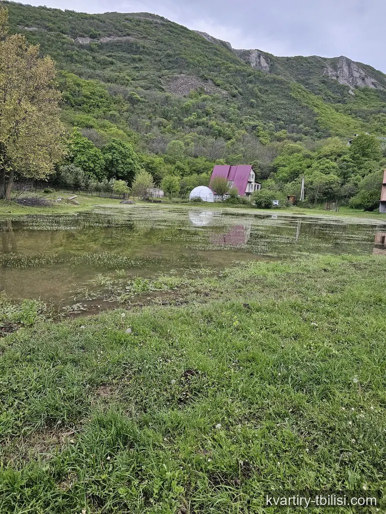 8-комнатный дом в Ведзиси — 115 000 USD | Tbilisi Homes