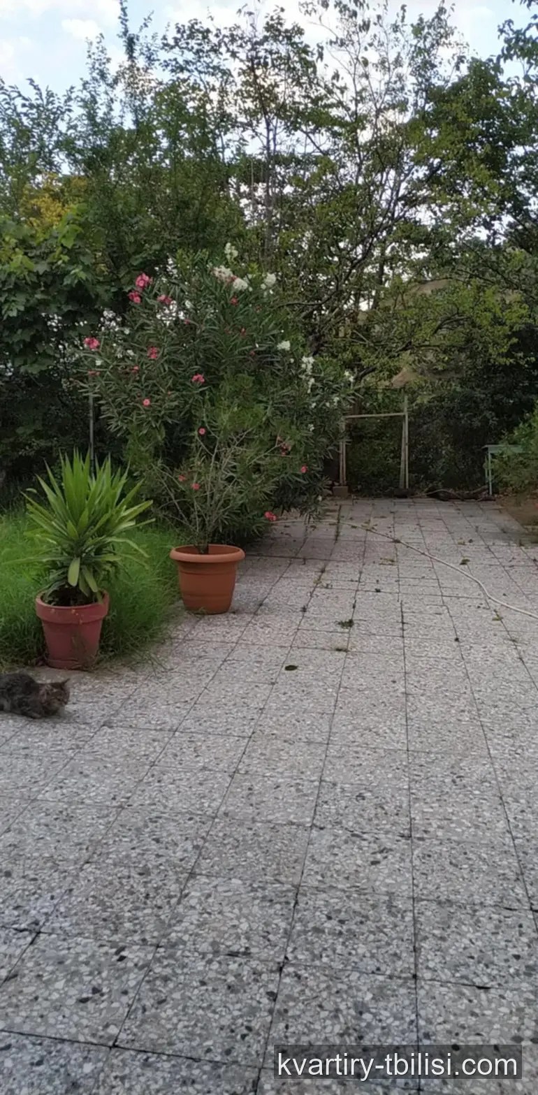4-комнатный дом на Вере — 438 000 USD | Tbilisi Homes