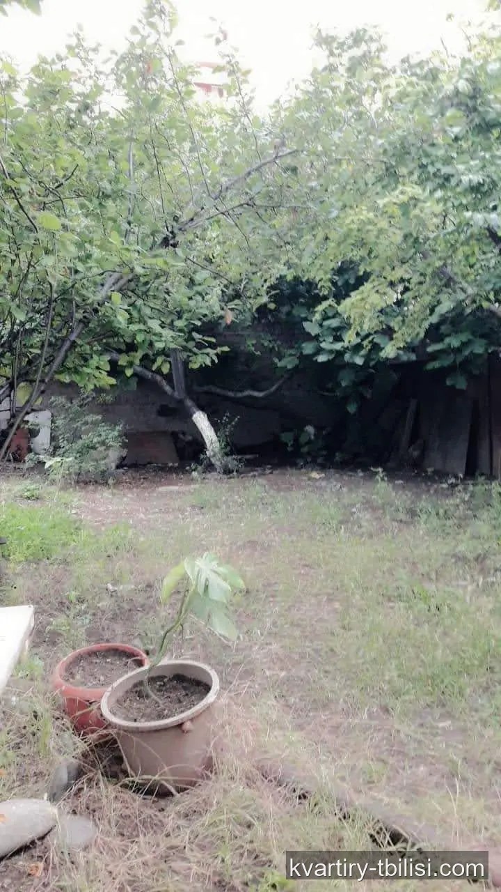 4-bedroom House for sale in Elia, Tbilisi, 400 sqm — 290 000 USD | Tbilisi Homes