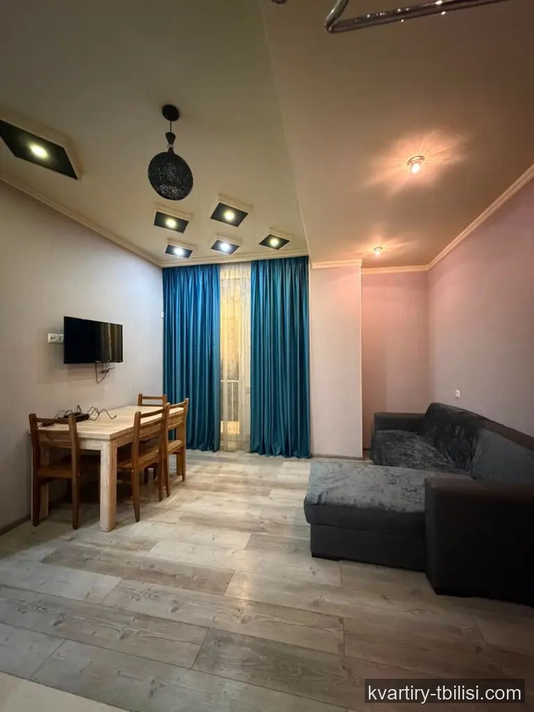 2-bedroom Apartment for rent in Tbilisi, Tbilisi, 60 sqm, floor 2/9 — 450 USD/month | Tbilisi Homes