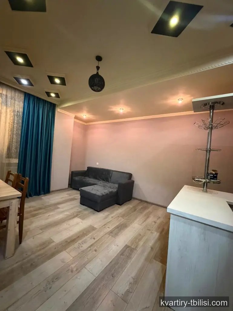 2-bedroom Apartment for rent in Tbilisi, Tbilisi, 60 sqm, floor 2/9 — 450 USD/month | Tbilisi Homes