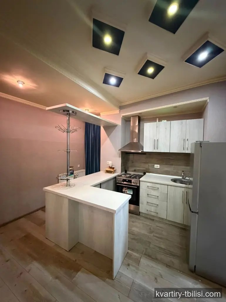 2-bedroom Apartment for rent in Tbilisi, Tbilisi, 60 sqm, floor 2/9 — 450 USD/month | Tbilisi Homes