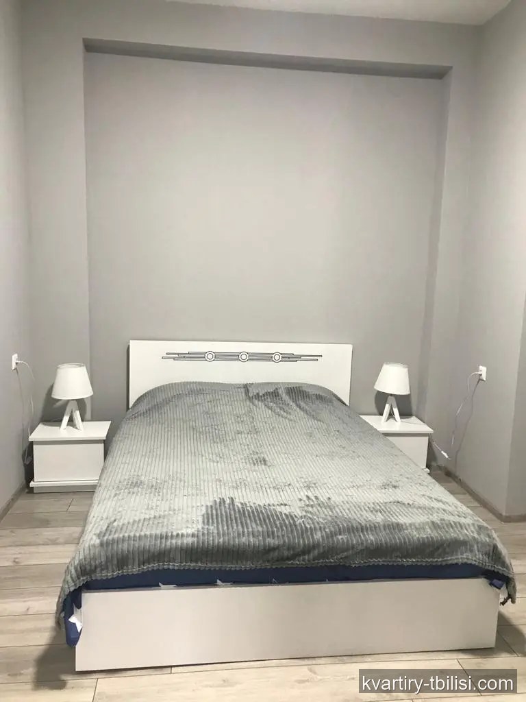 2-bedroom Apartment for rent in Avlabari, Tbilisi, 50 sqm, floor 1/3 — 500 USD/month | Tbilisi Homes