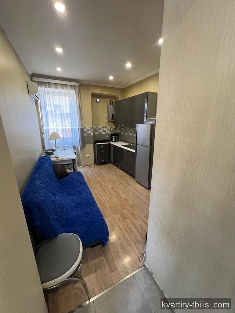 Однокомнатная квартира в Чугурети — 400 USD/мес | Tbilisi Homes