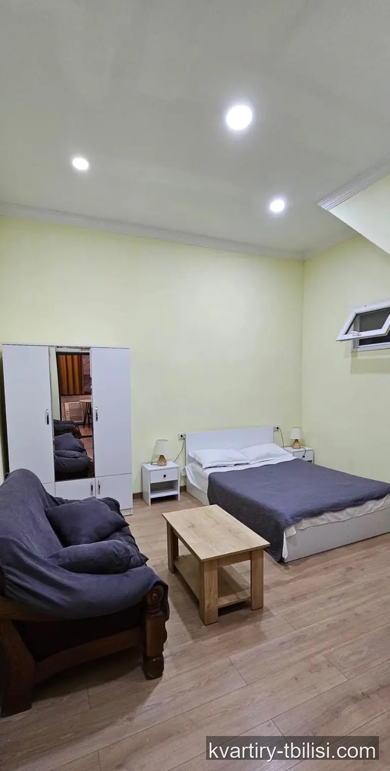 Однокомнатная квартира в Чугурети — 418 USD/мес | Tbilisi Homes