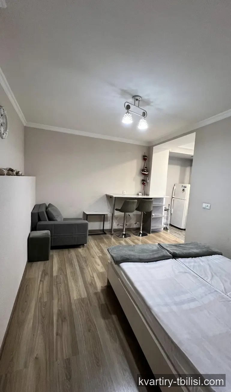 Однокомнатная квартира в Чугурети — 500 USD/мес | Tbilisi Homes