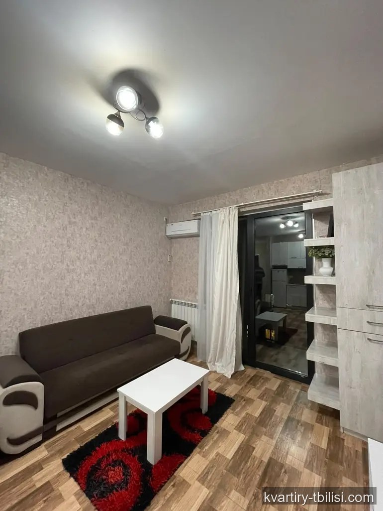 Двухкомнатная квартира в Чугурети — 500 USD/мес | Tbilisi Homes