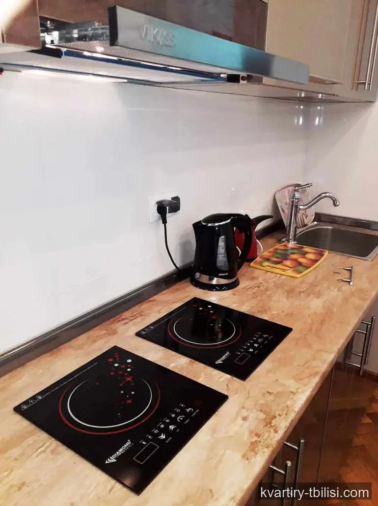 Двухкомнатная квартира в Чугурети — 425 USD/мес | Tbilisi Homes