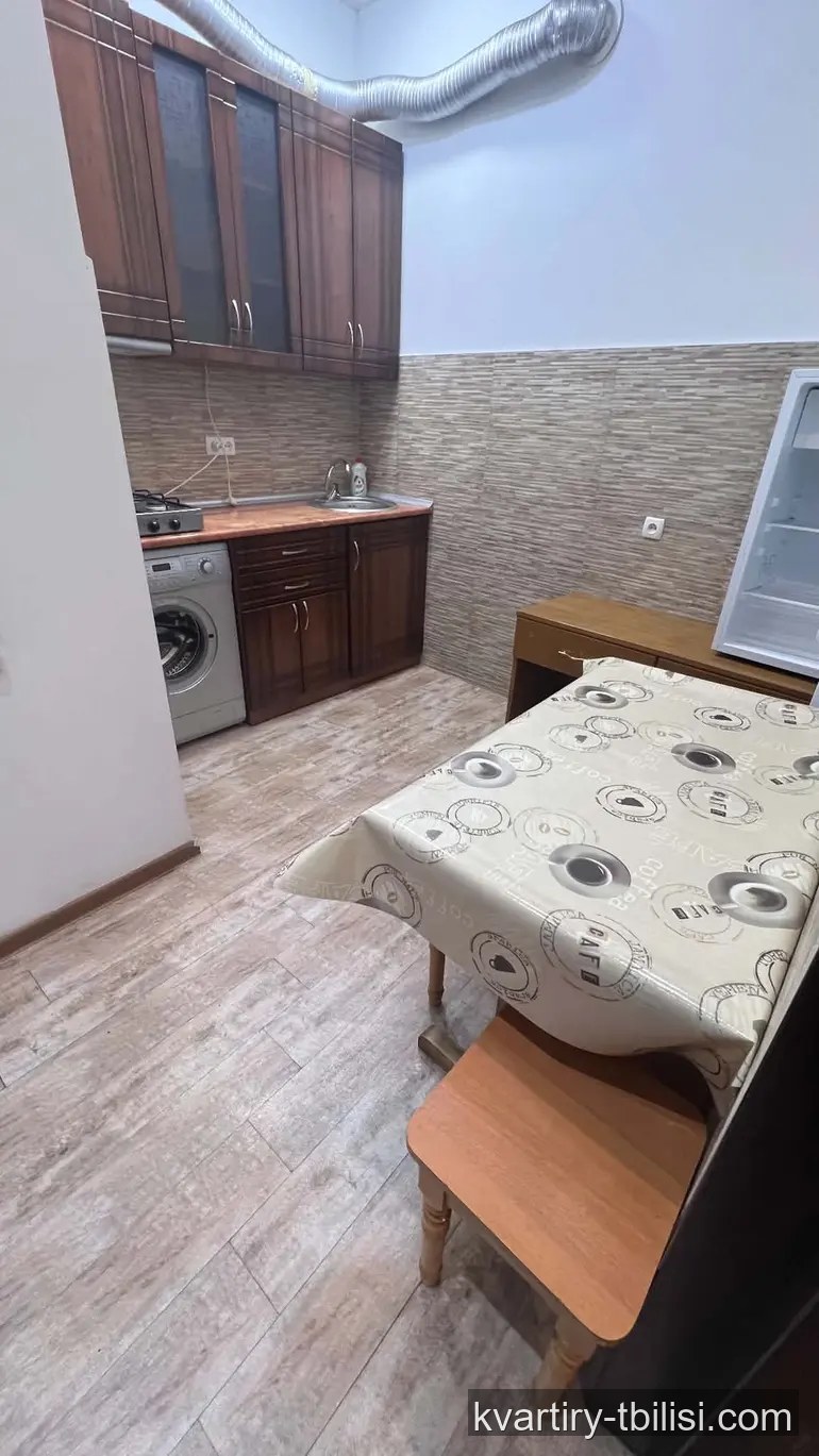 Двухкомнатная квартира в Чугурети — 480 USD/мес | Tbilisi Homes