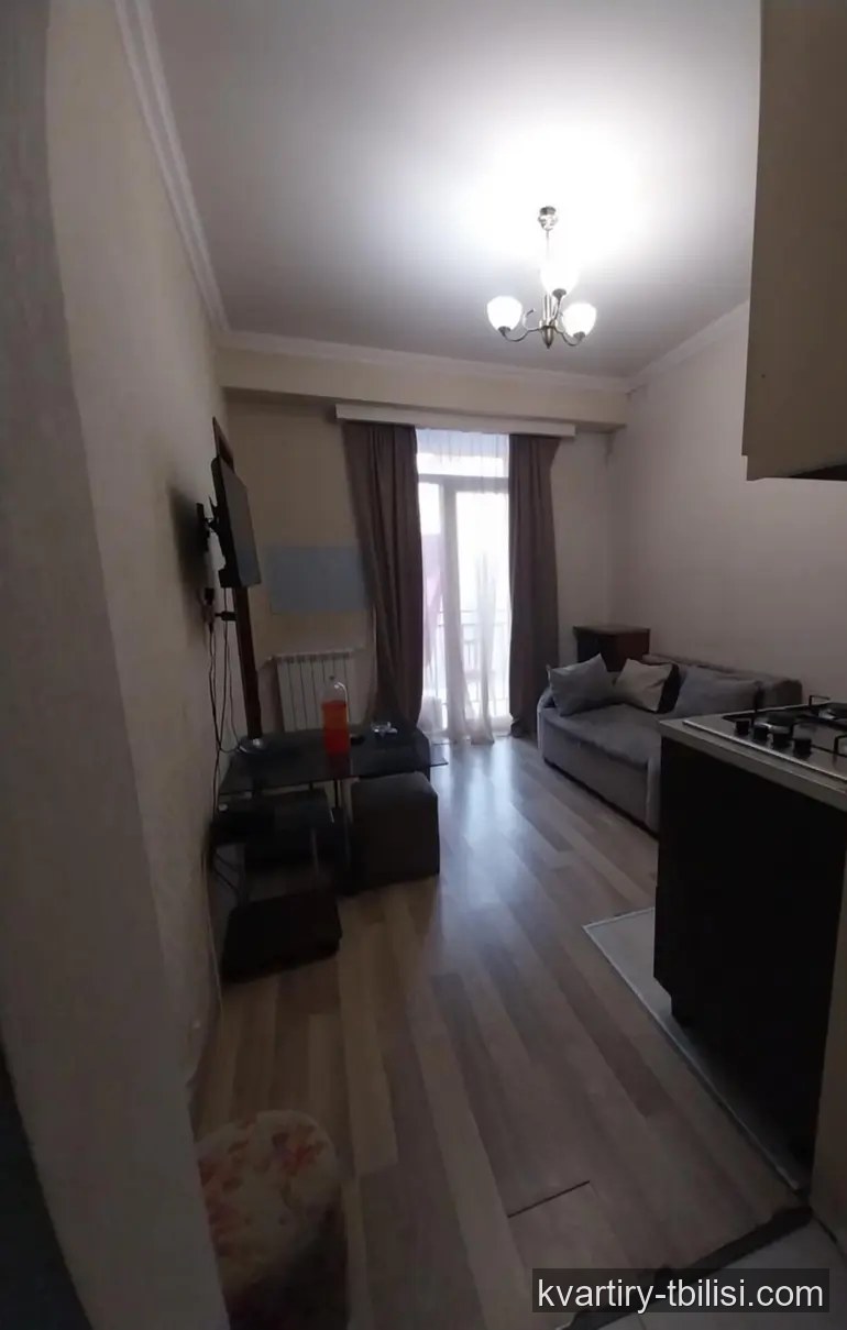 Двухкомнатная квартира в Чугурети — 452 USD/мес | Tbilisi Homes