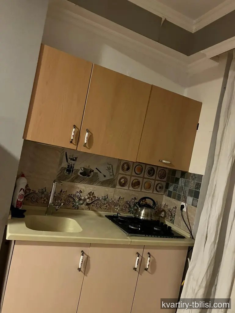 Однокомнатная квартира в Диди Дигоми — 418 USD/мес | Tbilisi Homes