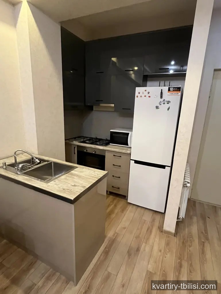Двухкомнатная квартира в Диди Дигоми — 500 USD/мес | Tbilisi Homes