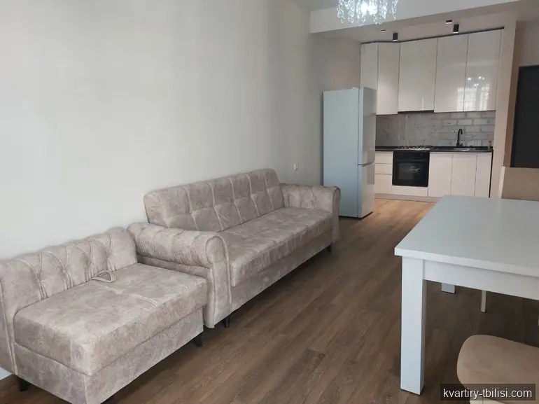 2-bedroom Apartment for rent in Didi Digomi, Tbilisi, 50 sqm, floor 9/12 — 500 USD/month | Tbilisi Homes